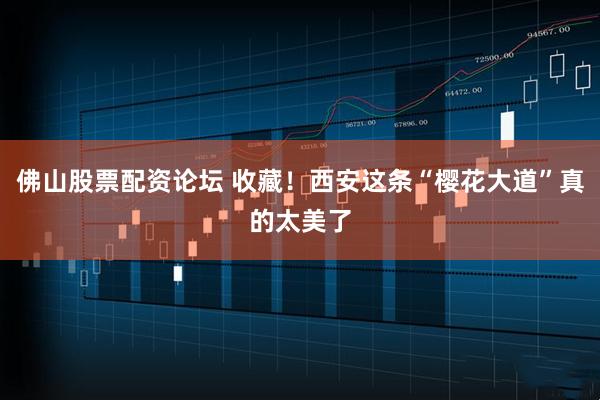 佛山股票配资论坛 收藏！西安这条“樱花大道”真的太美了